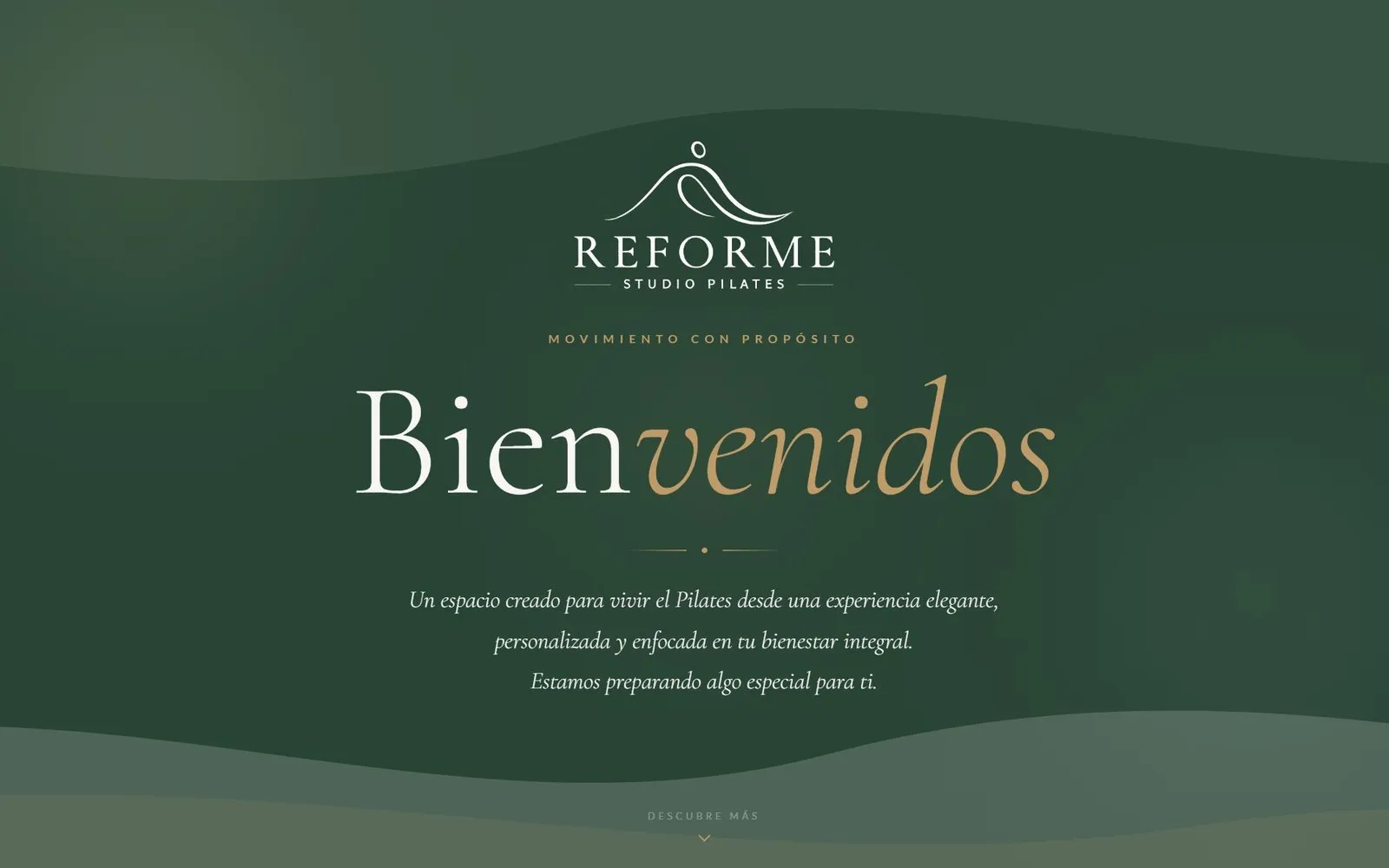 Página de inicio de Reforme Studio Pilates